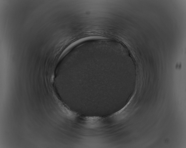 X0000091730192200708241422