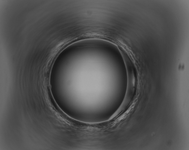 X0000091730193200708241421