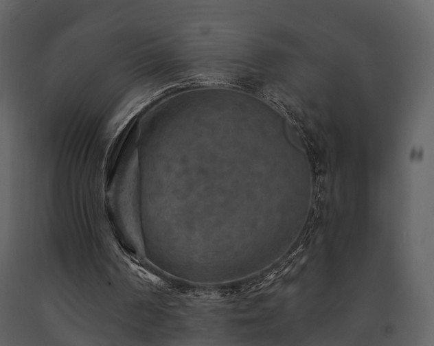 X0000091730194200708241421