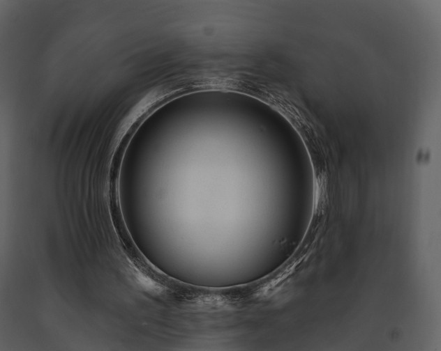 X0000091730195200708241421