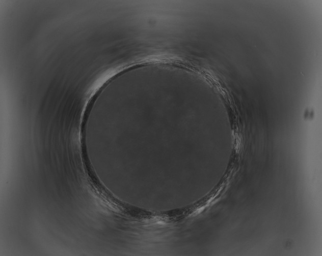 X0000091730196200708241421