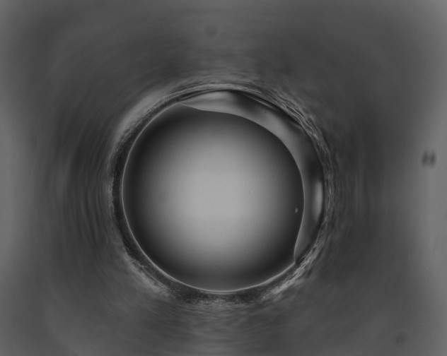 X0000091730197200708241421