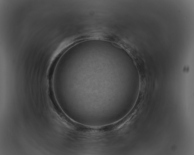 X0000091730198200708241421