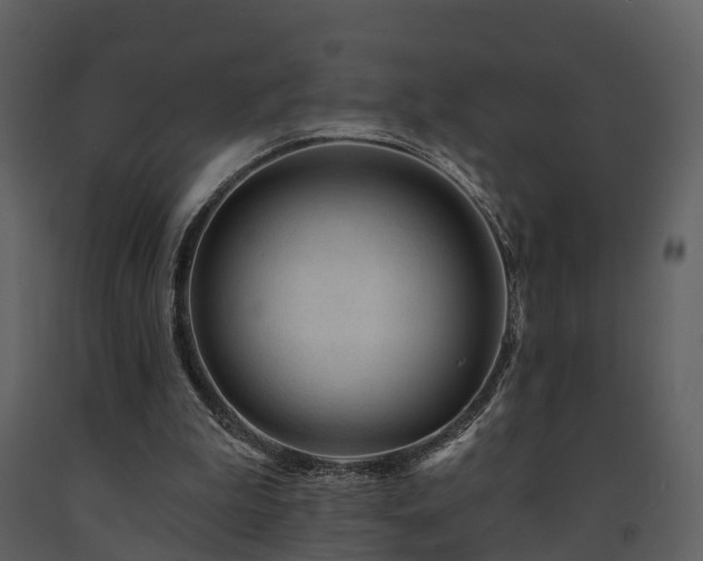 X0000091730199200708241421