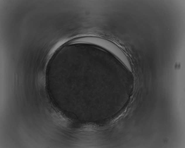 X0000091730200200708241421