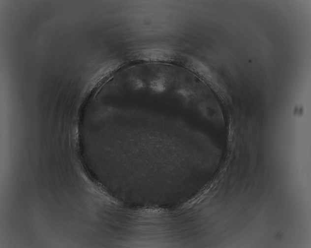 X0000091730202200708241421