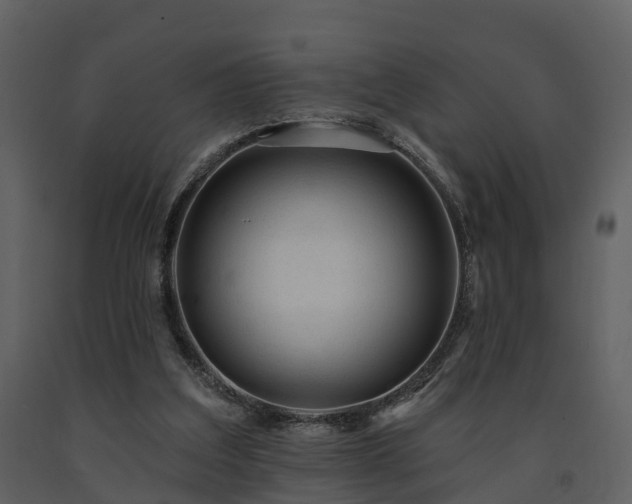 X0000091730203200708241421
