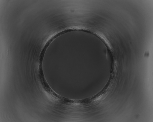 X0000091730204200708241421