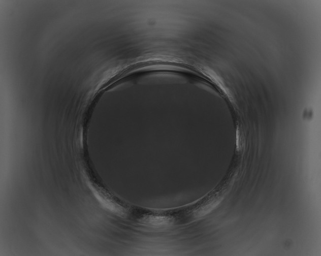 X0000091730205200708241421