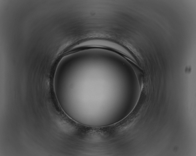 X0000091730207200708241421