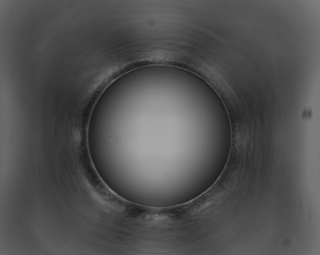 X0000091730208200708241421