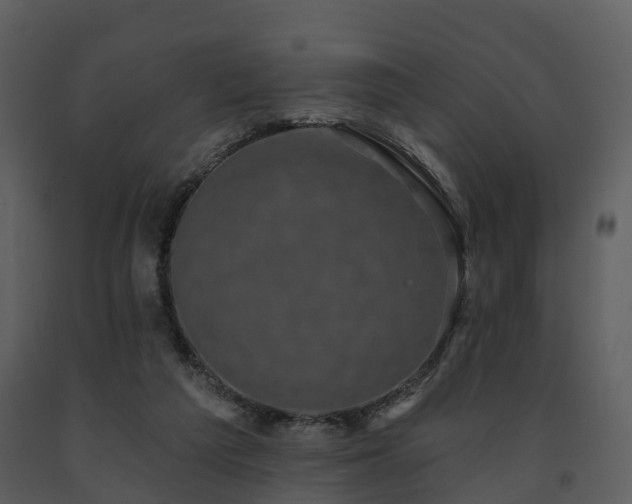 X0000091730209200708241421