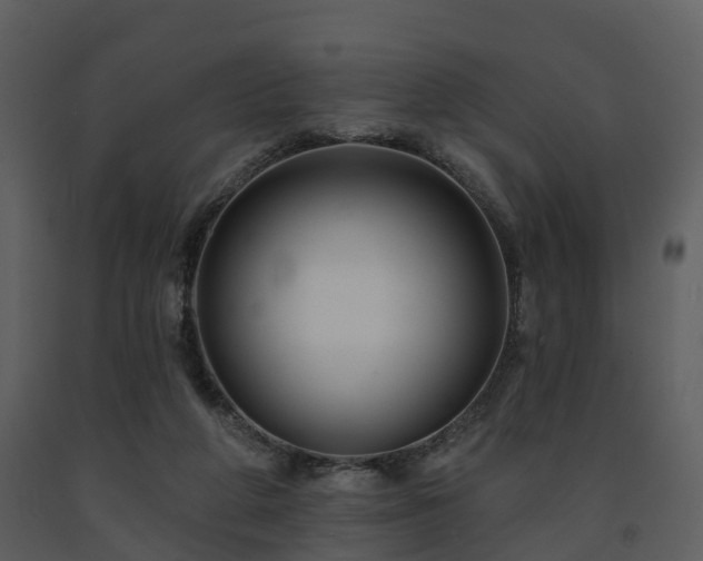 X0000091730210200708241421