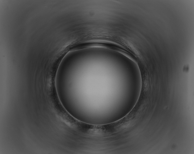 X0000091730211200708241421