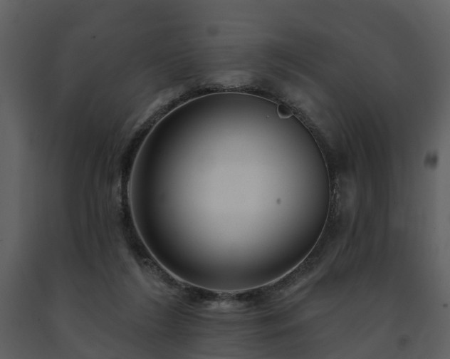 X0000091730212200708241421
