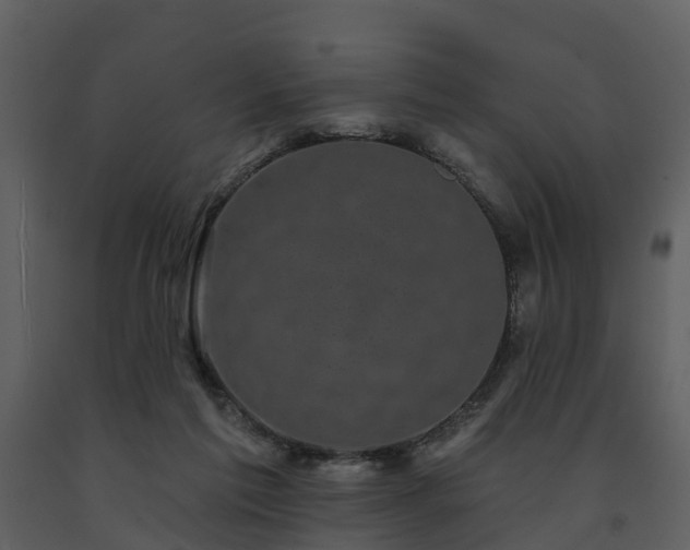 X0000091730213200708241421