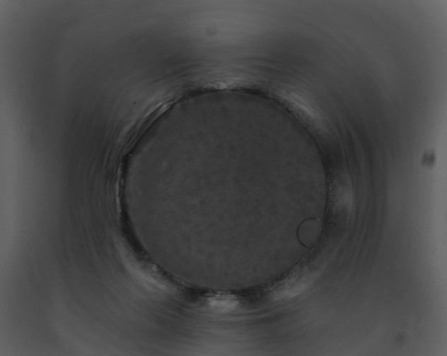 X0000091730214200708241421