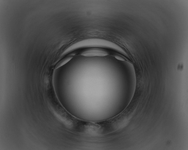 X0000091730215200708241421