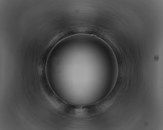 X0000091730216200708241421