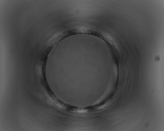 X0000091730217200708241421