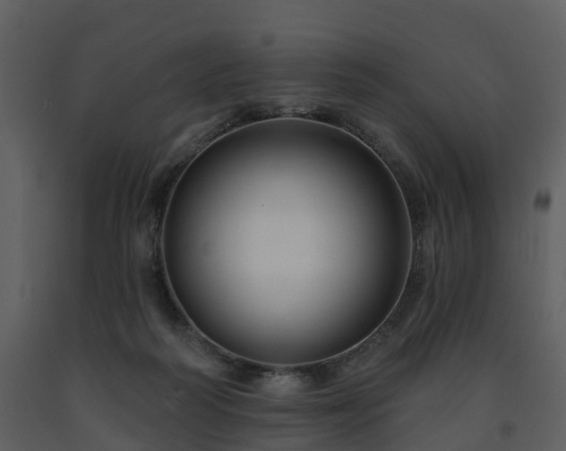 X0000091730218200708241420