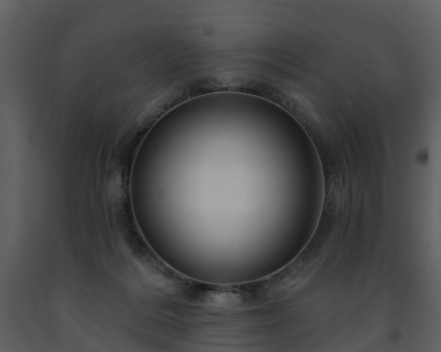X0000091730220200708241420