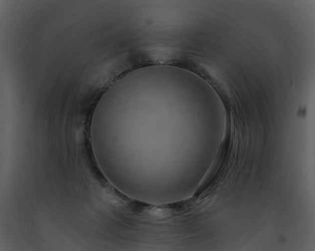 X0000091730221200708241420