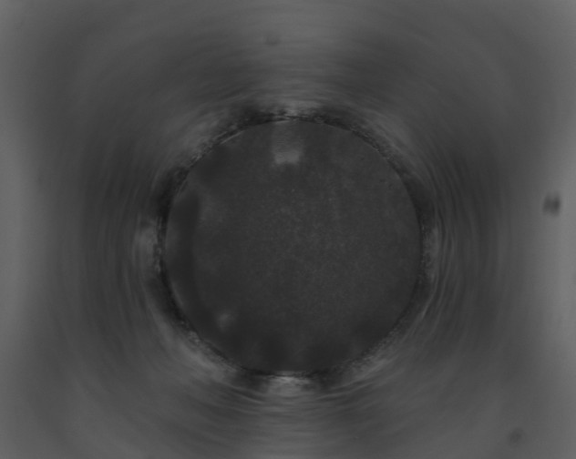 X0000091730222200708241420