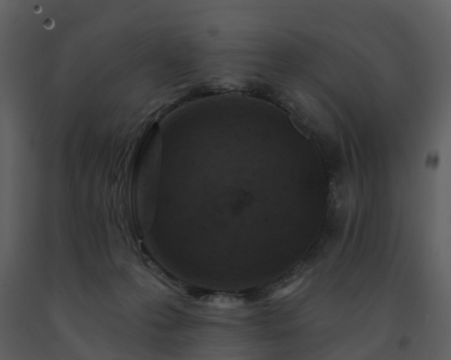 X0000091730223200708241420