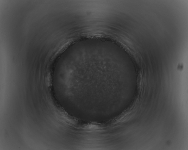 X0000091730224200708241420