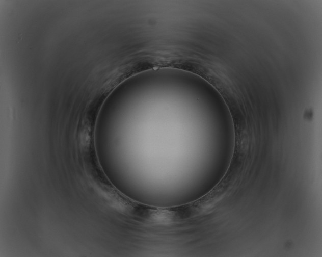 X0000091730226200708241420