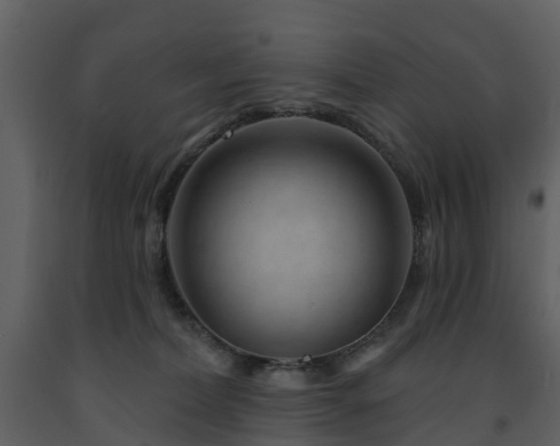 X0000091730228200708241420