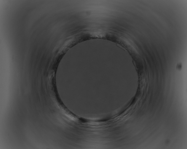 X0000091730229200708241420