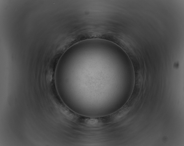 X0000091730230200708241420