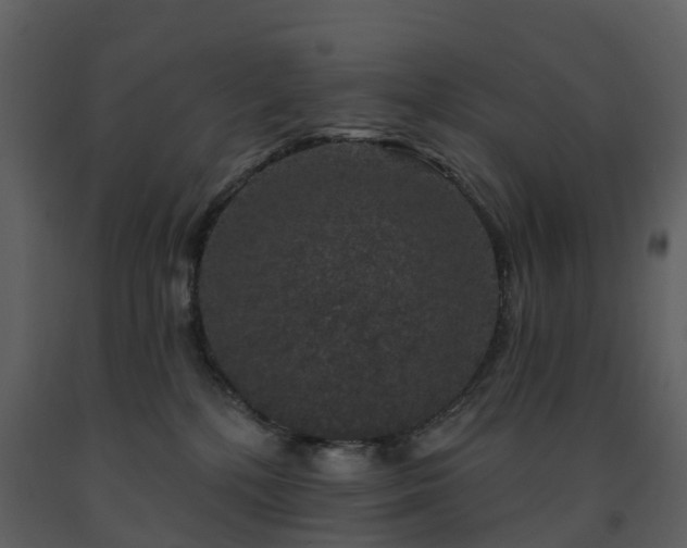 X0000091730232200708241420