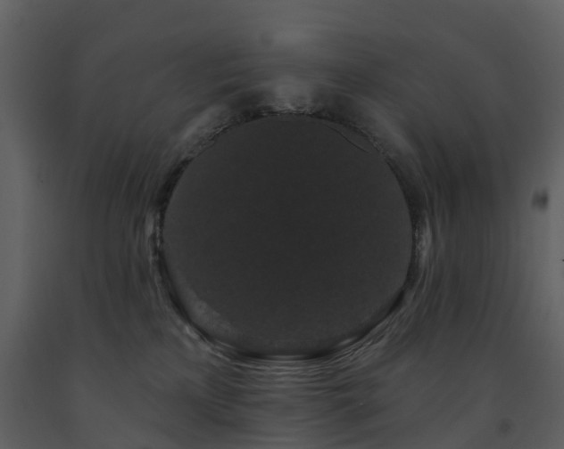 X0000091730233200708241420