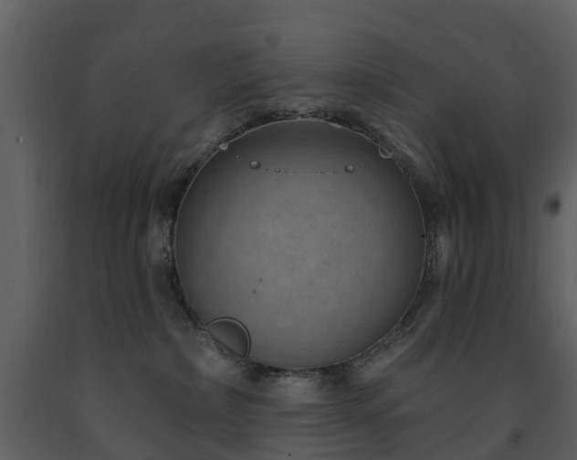 X0000091730236200708241420