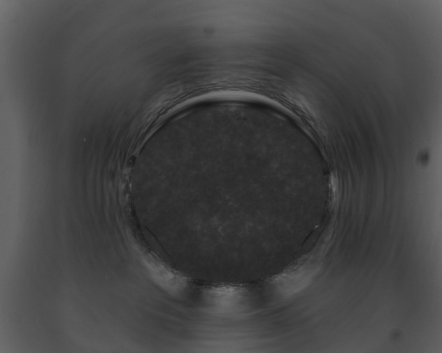 X0000091730237200708241420