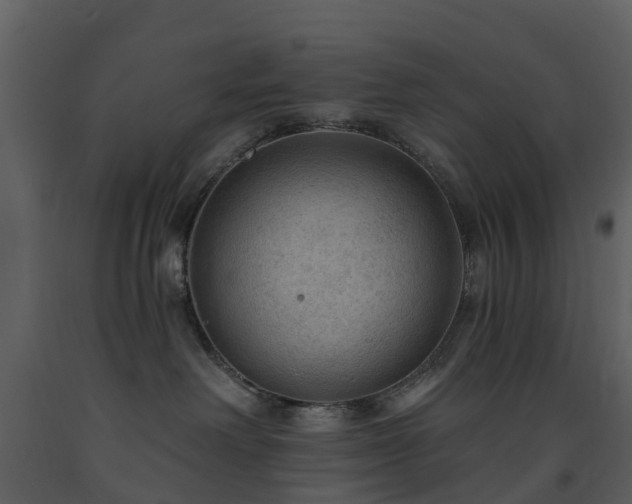 X0000091730238200708241420