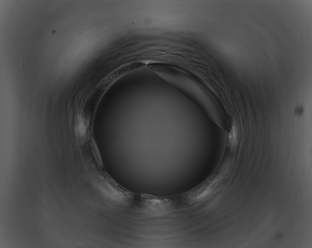 X0000091730239200708241420