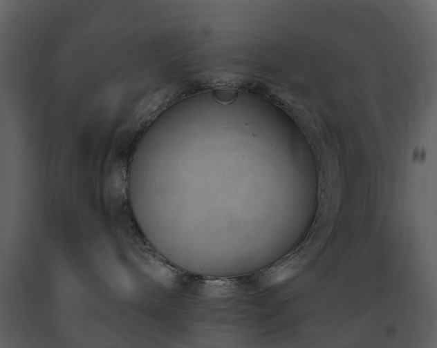X0000091730240200708241420