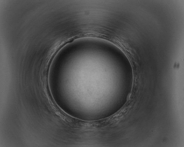 X0000091730241200708241419