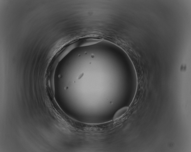 X0000091730242200708241419