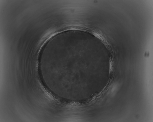 X0000091730243200708241419