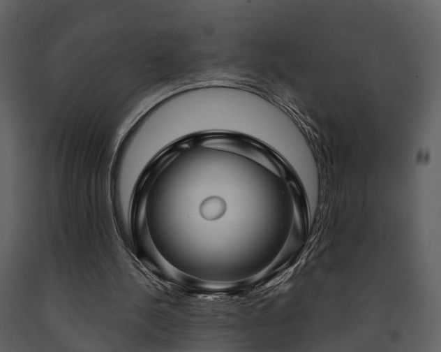 X0000091730244200708241419