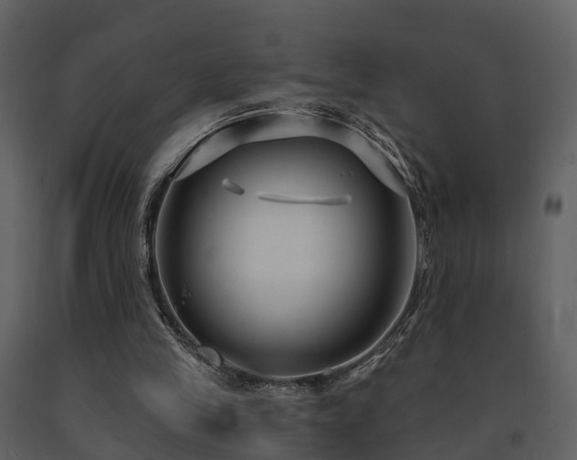 X0000091730245200708241419