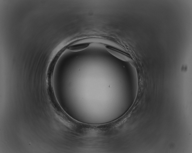 X0000091730246200708241419