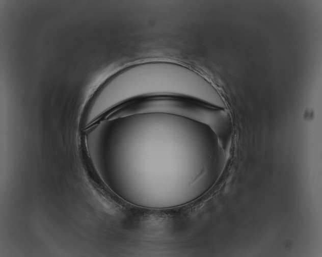 X0000091730248200708241419