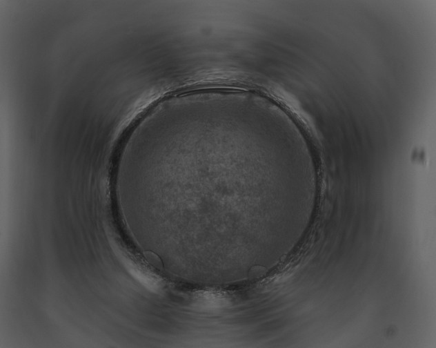 X0000091730250200708241419