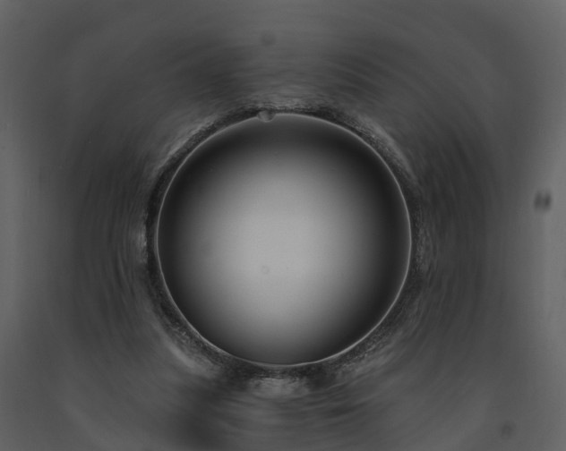 X0000091730251200708241419